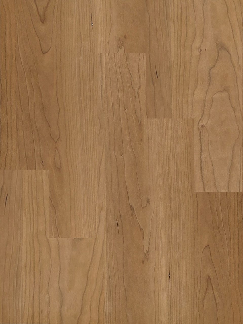 ブラックチェリー